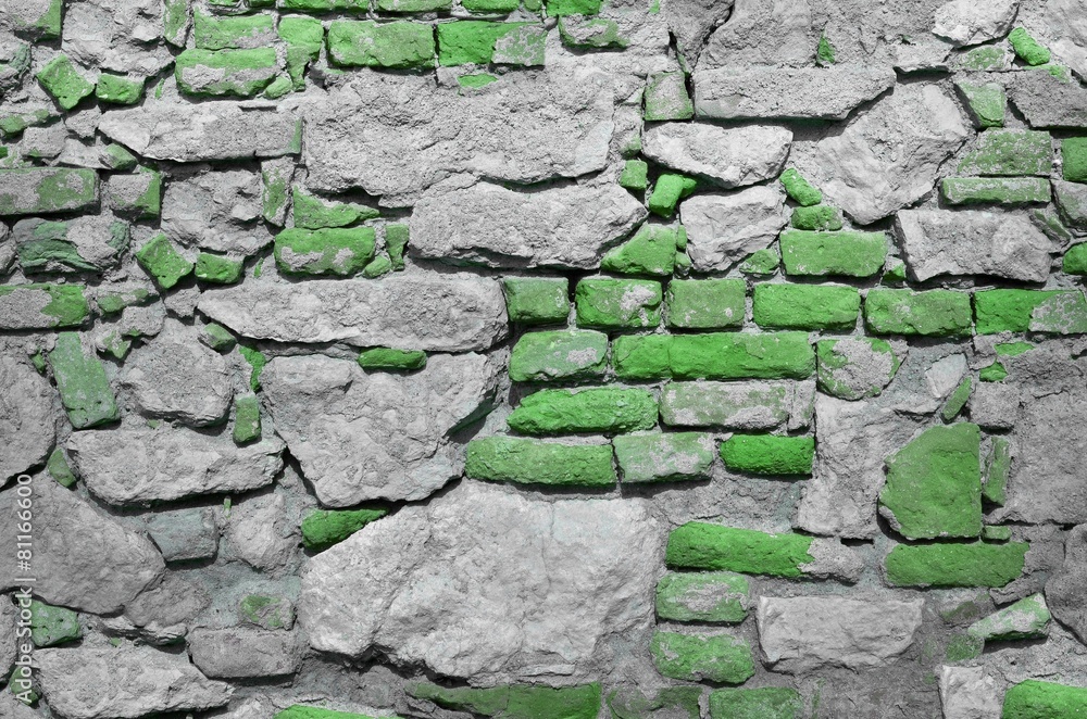 Obraz premium texture brick wall