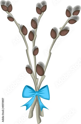Pussy willow branches