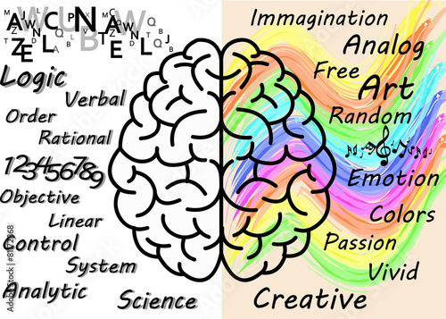 right brain and left brain