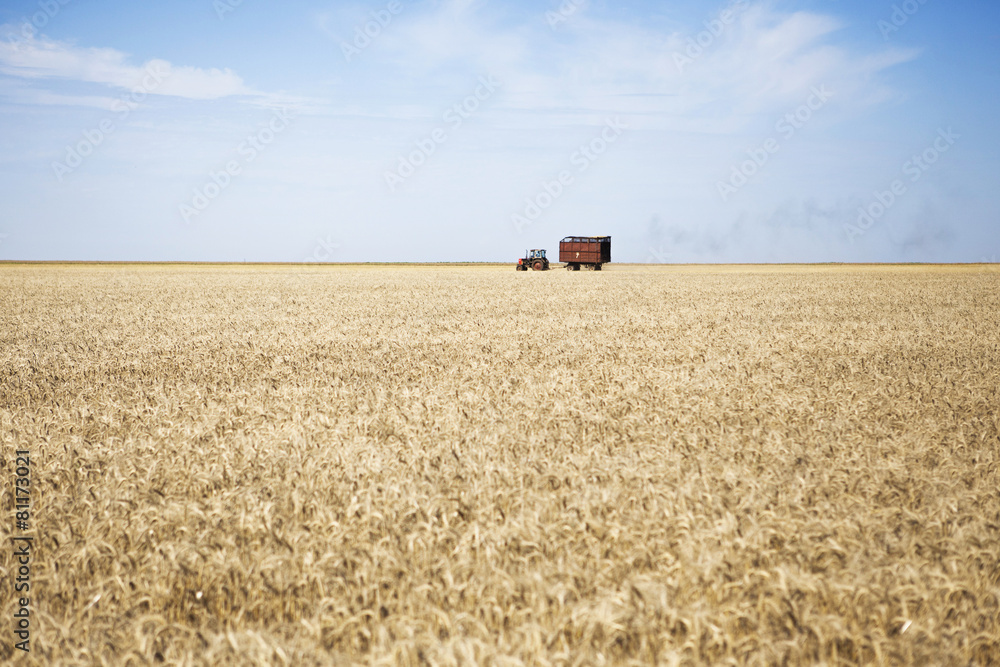 Fototapeta premium Tractor