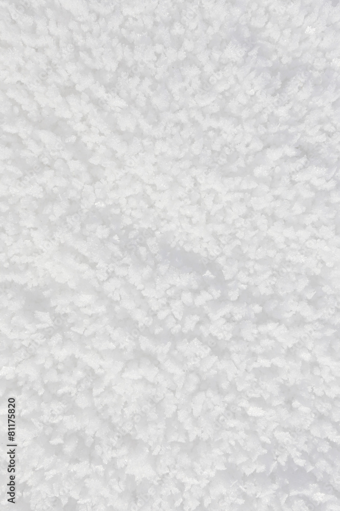 texture of the snow texture of the snow