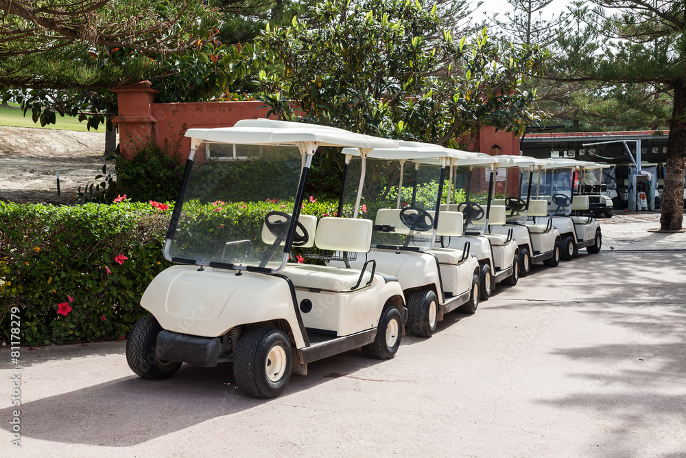 Obraz premium Golf course