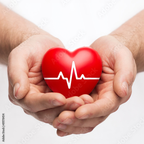 male hands holding heart with ecg line