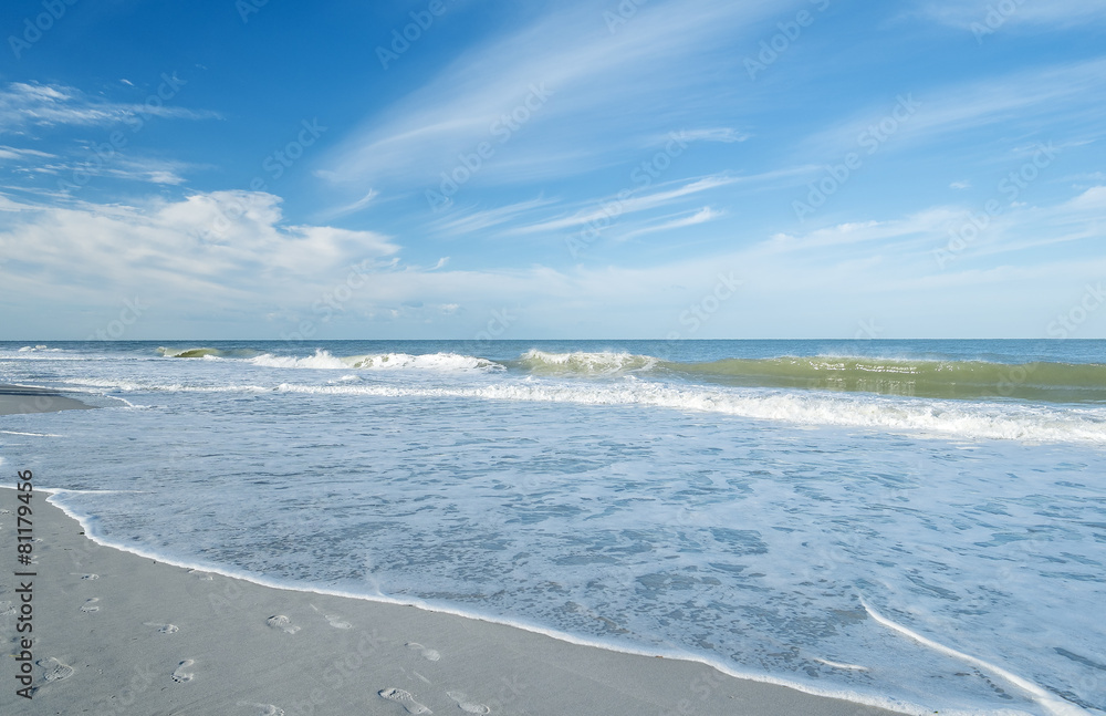 Obraz premium Beach Landscape