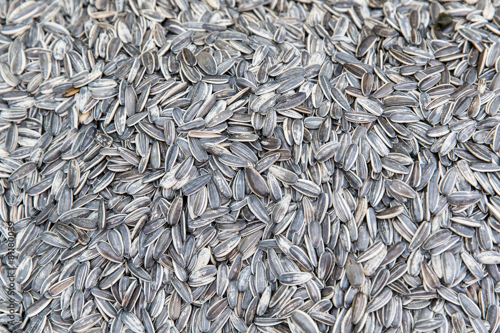 sunflower seeds texture