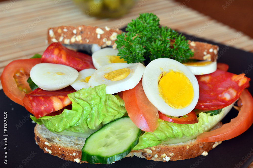 Fresh and tasty sandwich with salami and vegetables on a plate