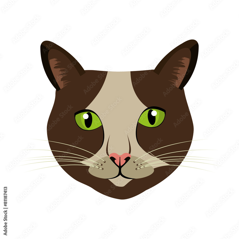 Pet design. Pet design.