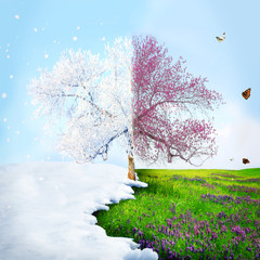 Season change from winter to spring