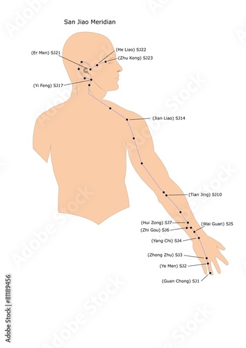 agopuntura: meridiano del San Jiao e suoi punti photo