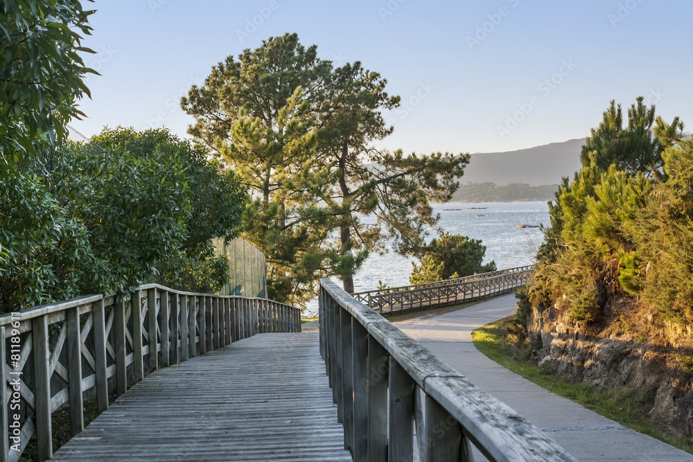 Wooden path along the coast