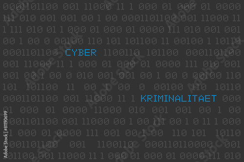 Cyber Kriminalität