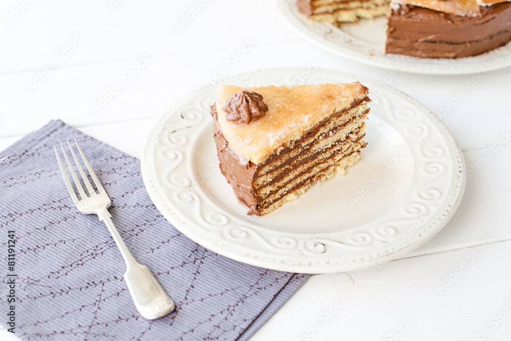 Piece of layered cake (Dobosh Hungarian cake) Piece of layered cake (Dobosh Hungarian cake)