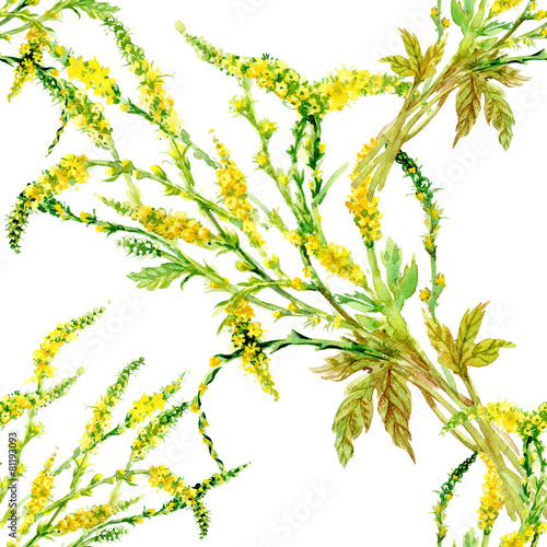 Wild flowers seamless pattern on white background