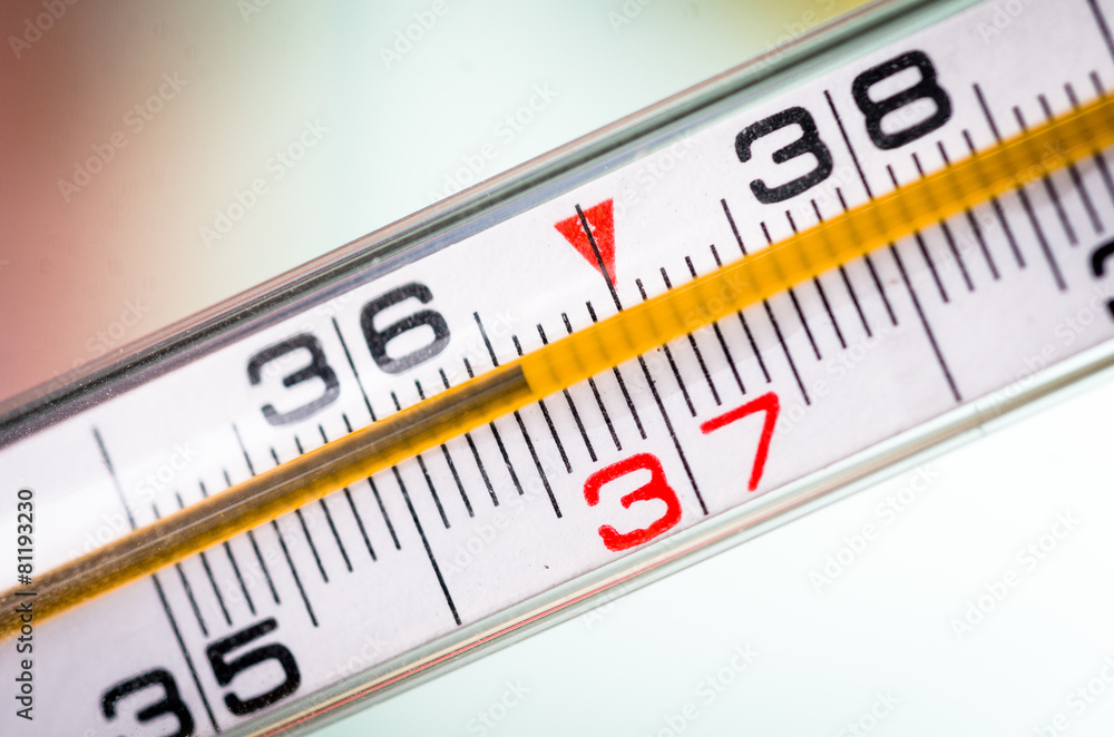 thermometer thermometer