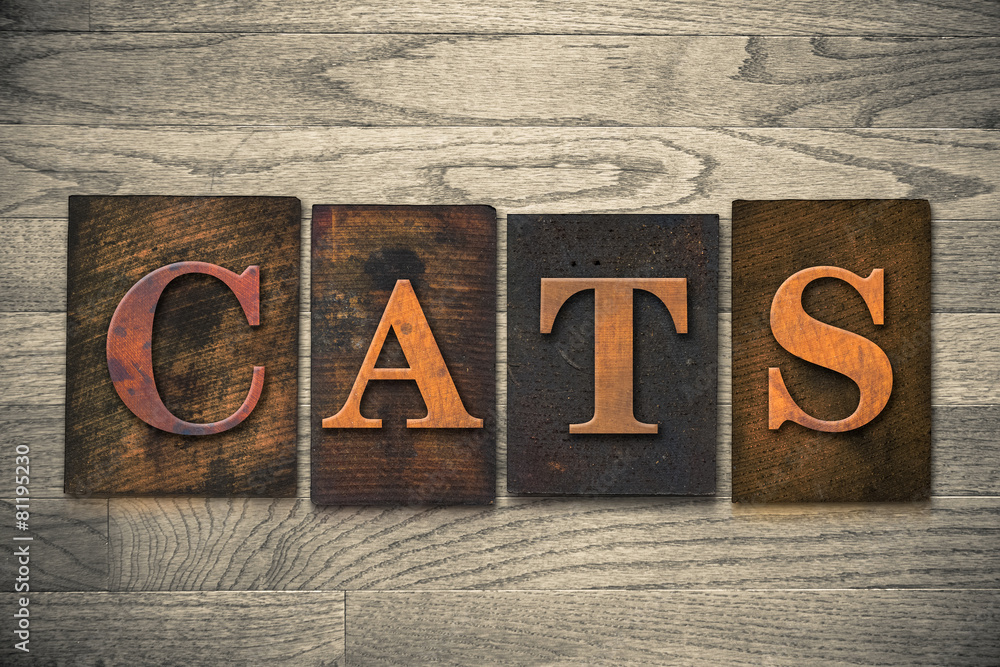 Naklejka premium Cats Wooden Letterpress Theme