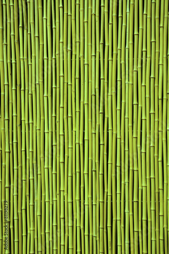 Green bamboo. Picture can be used as a background © kalichka