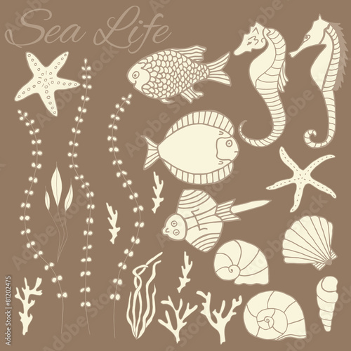 Collection of hand drawn fishes