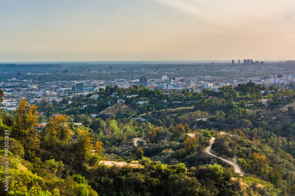 View of trails in Griffith Park and Hollywood from Griffith Obse