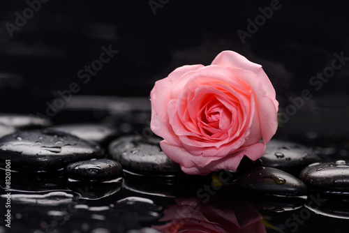 Set of rose with therapy stones 