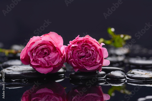 Pink two rose with therapy stones 