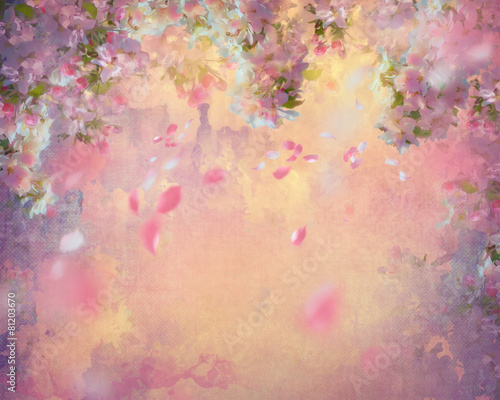 Fototapeta Naklejka Na Ścianę i Meble -  Spring Cherry Blossom Painting