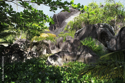 Beautiful black granite rocks in the thickets of tropical