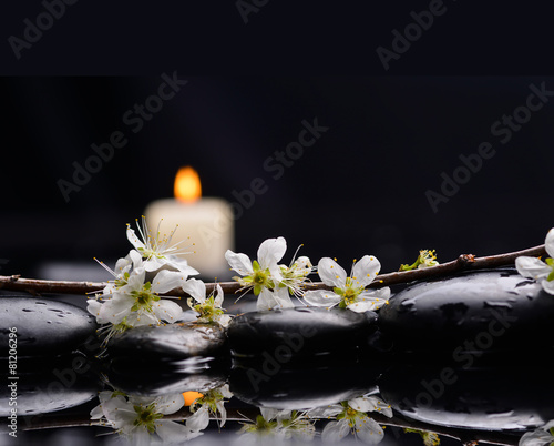 cherry blossom with white candle on black stones