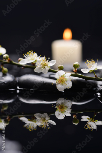 cherry blossom with white candle on black stones