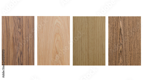 Set of wood texture on white background
