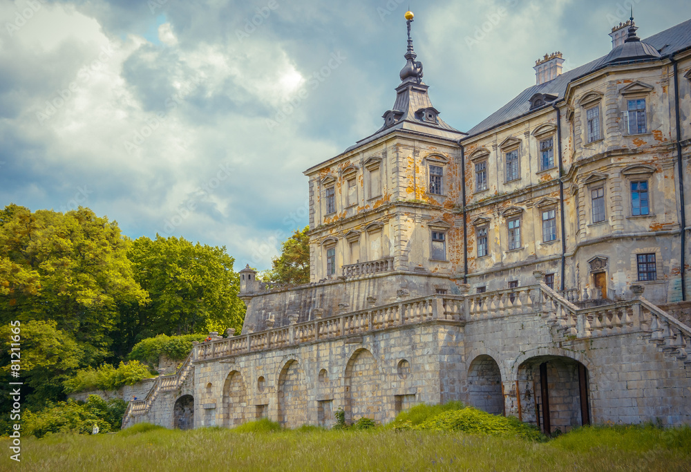 View of the castle Podgoretsky