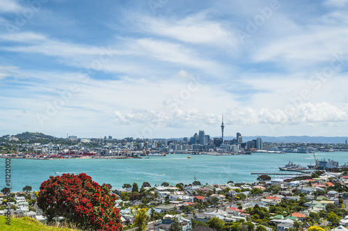 Auckland New Zealand, view from Mount Victoria