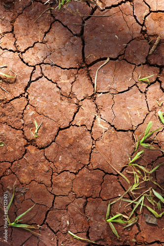 Dry, cracked earth, with a blade of grass