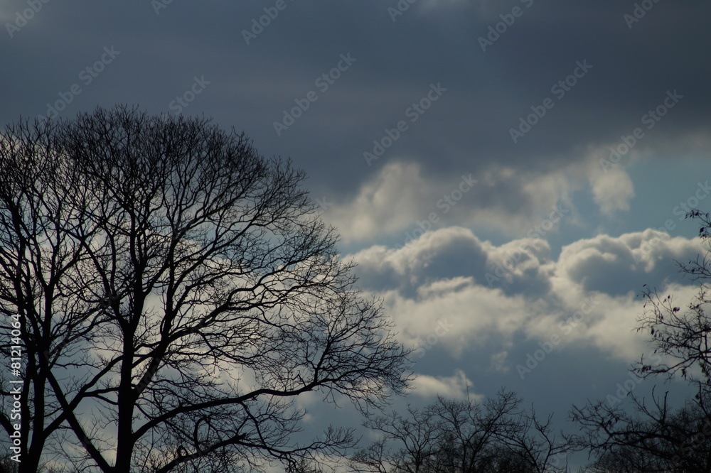 wolken wolken