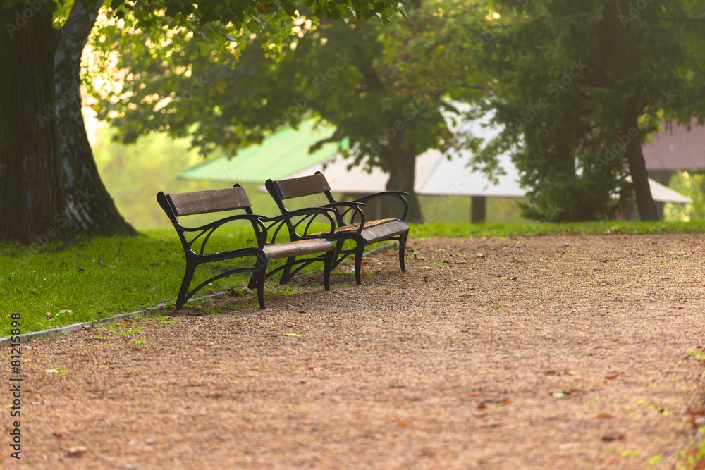 Stylish bench in autumn park