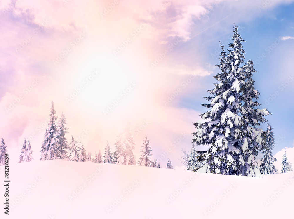 Fototapeta premium winter time