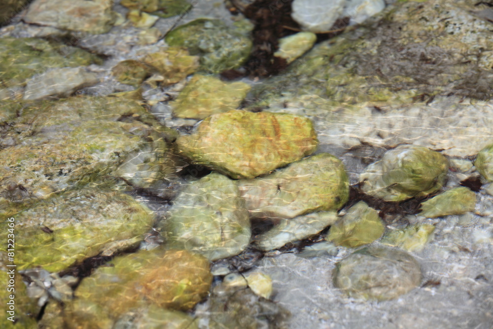 Quellwasser Quellwasser