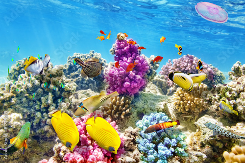 Foto Underwater world with corals and tropical fish.