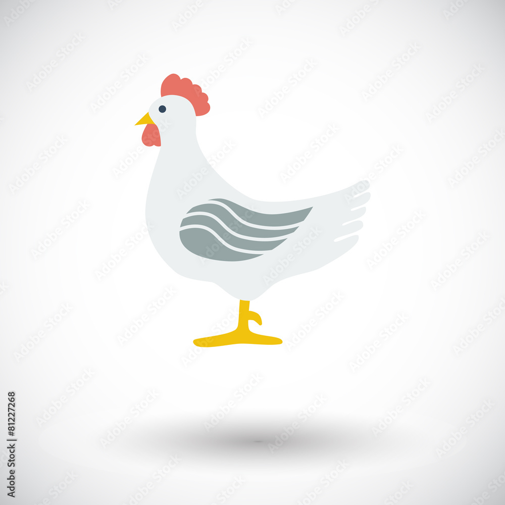 Obraz premium Chicken single icon.