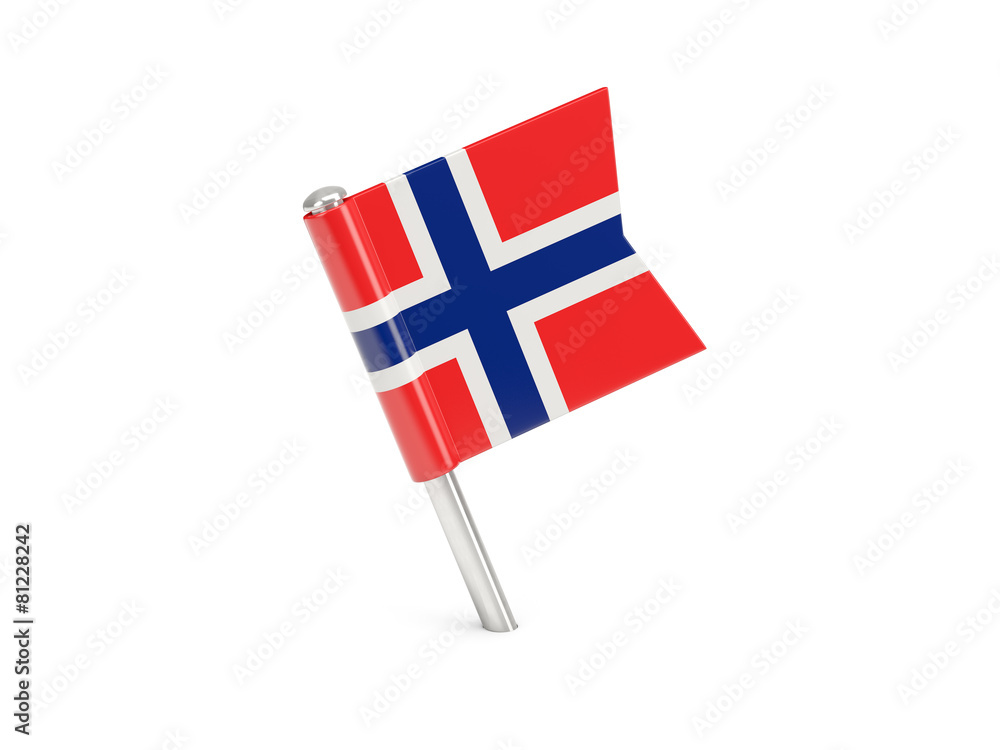 Flag pin of norway