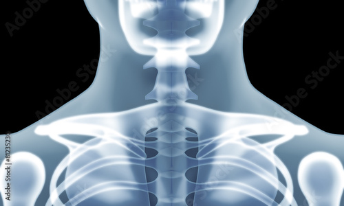 Human skeleton chest x-ray image