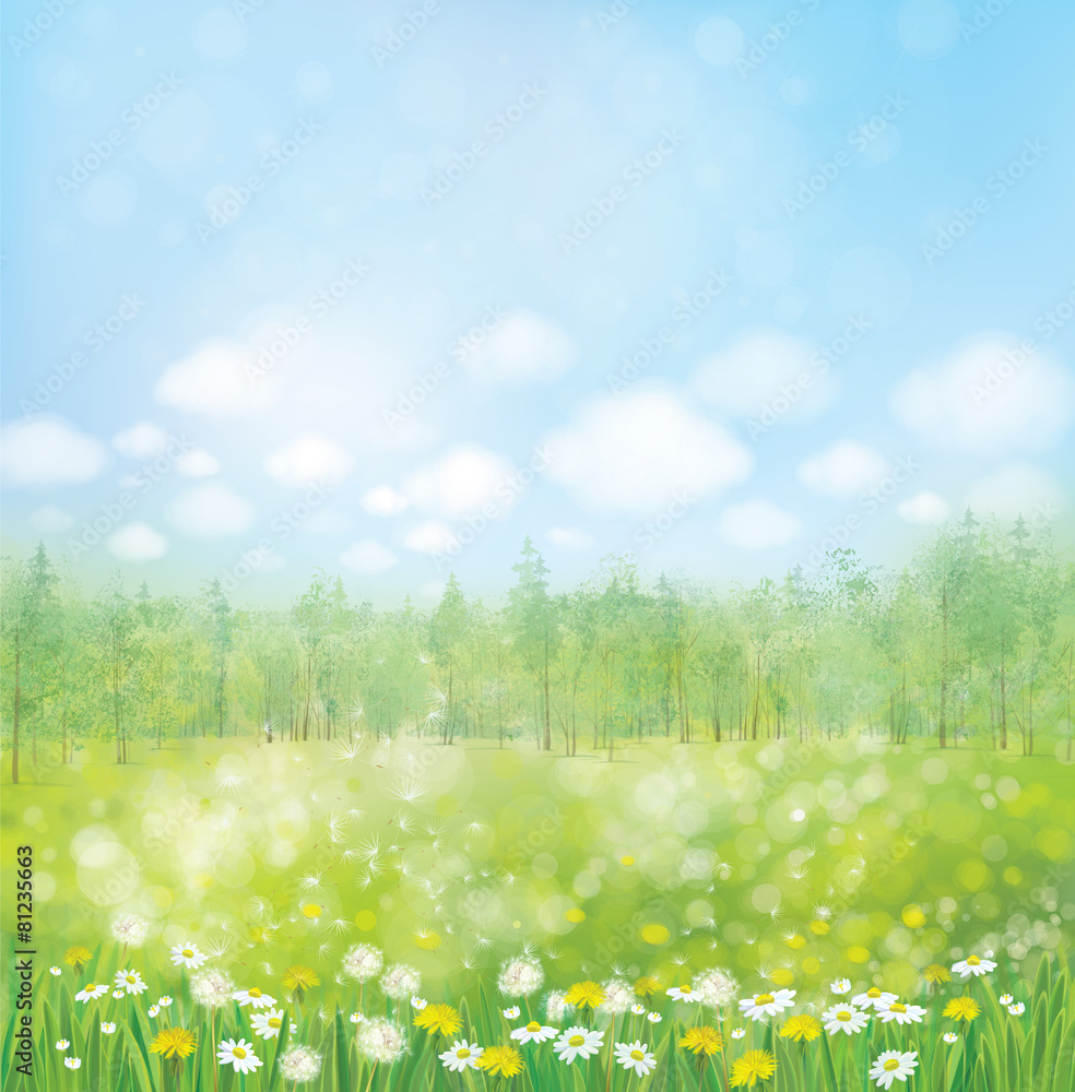 Vector spring blossoming meadow with forest background.