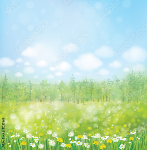 Vector spring blossoming meadow with forest background.