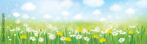 Vector nature  spring background.