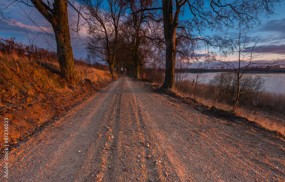 Fototapeta premium Sandy rural road