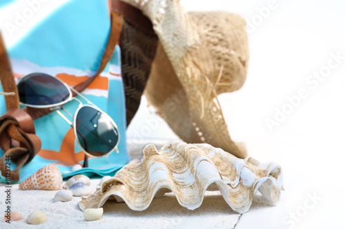 coquillages et accessoires de plage