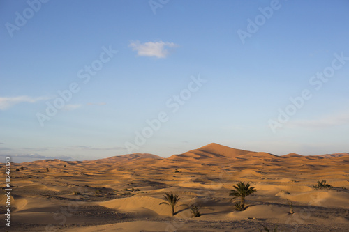 erg chebbi sand dunes © Dan Talson