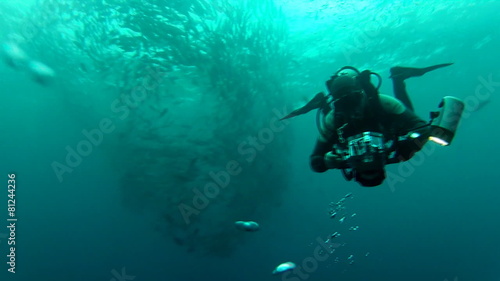 Wallpaper Mural Person swimming among shoal of jack fish in tulemben in Bali, Indonesia Torontodigital.ca