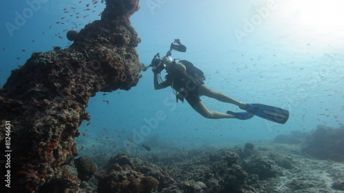 Wallpaper Mural underwater photographer Torontodigital.ca