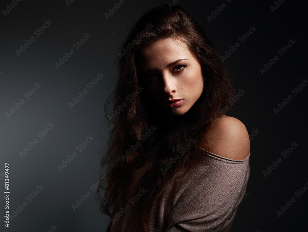 Artistic beautiful woman with long hair. Shadow on half face
