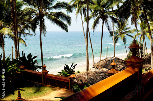 Palm Trees At Ocean Coast With Sand And Wave